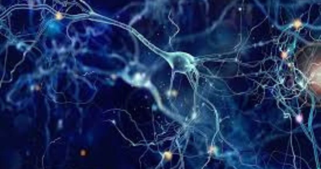 6 Powerful Neural Network Algorithms You Should Know 3 AI models